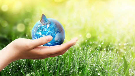A hand holding the Earth with a flying insect on the Earth. Green grass in the background.