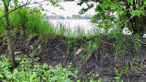 The remains of a glacial wall, which currently shows soil covered with grass.