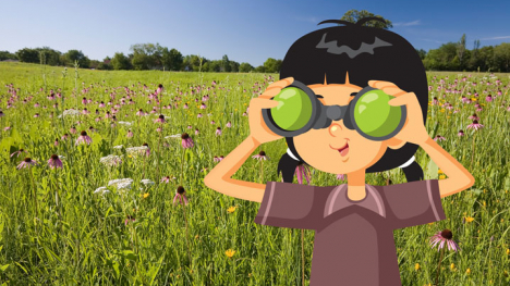 Young girl uses binoculars in a tall grass prairie