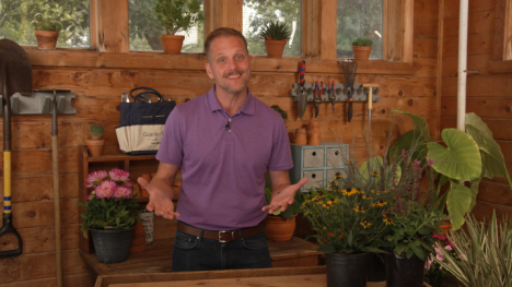 Host Aaron Steil surrounded by plants