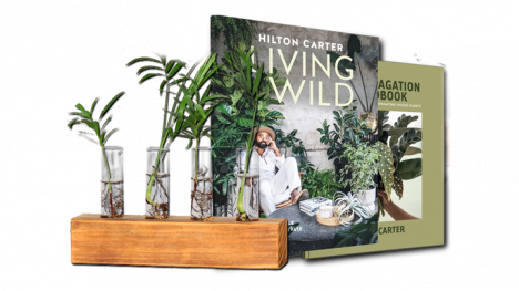 Living Wild Collection