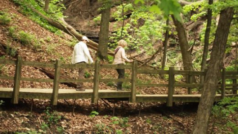 Two people walking across a bridge at Pike's Peak State Park