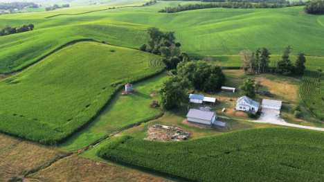 Drone image of green farm land