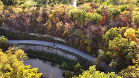 Drone image of yellow and green lush trees with a curving road through the middle