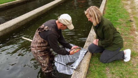 Two people looking at a net with a fish