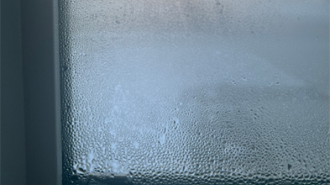 Condensation droplets on the interior of a window.