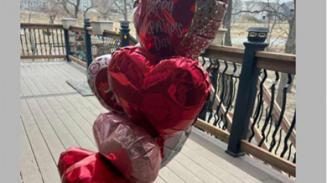 Helium balloons which have deflated a little bit. The trees in the background have lost their leaves.