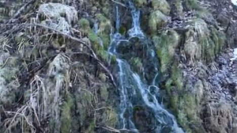 Grannis Creek Falls