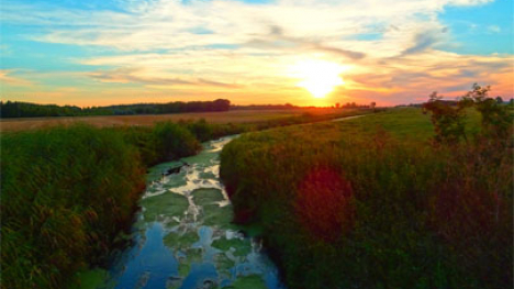 Stream running through a field.