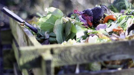 A compost pile.
