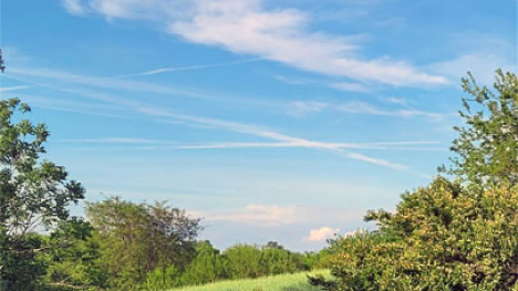 Contrails in the sky.