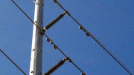 Stockbridge dampers on a powerline.