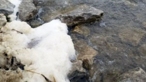 Foam on the bank of a lake.