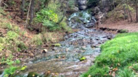 A waterfall feature at Dunning's Springs State Park