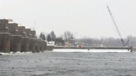 Birds on the west side of the lock and dam.