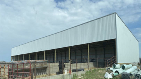 Shaded livestock barn.