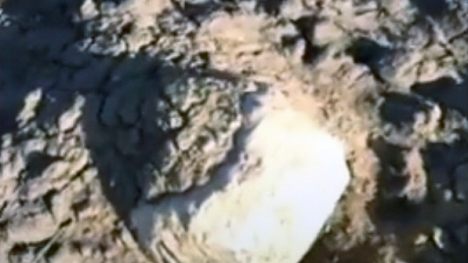 Large rock exposed in a tilled field.
