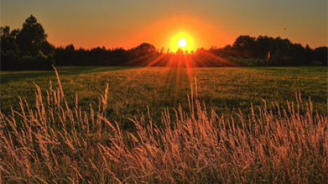 Sunset over a field