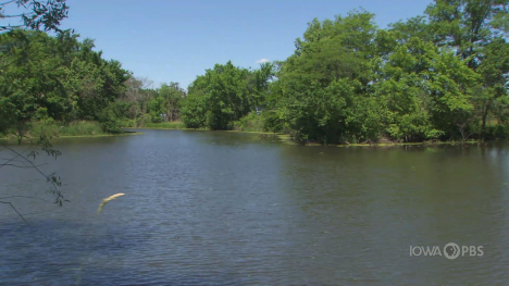 Image of an oxbow lake.