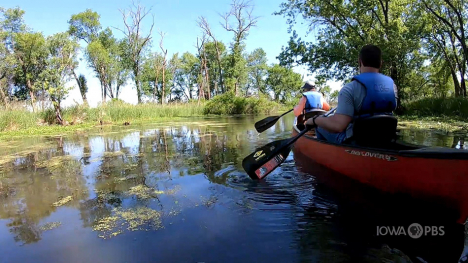 Image of people canoeing and causing water ripples.
