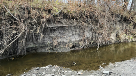 A stream with a tall bank on one side and no bank on the other side.