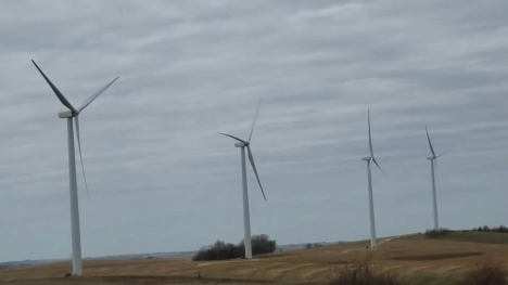Image of wind turbines in a field.