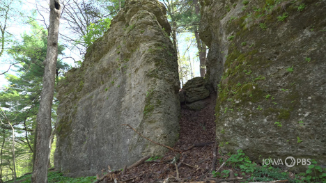 Image of a limestone rock face.