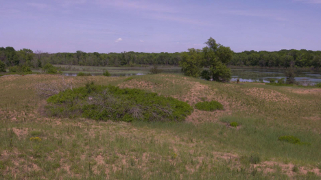 Image of the Big Sand Mound conservation area.