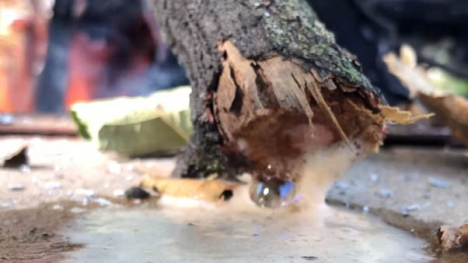 Image of a log burning in fire and liquid coming out of it.