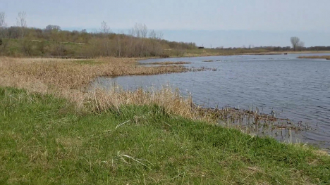 Image of a flooded field.