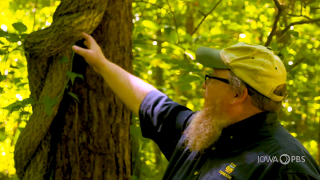Image of man gesturing towards a tree.