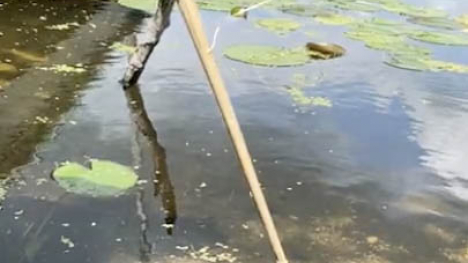 stick being inserting under water