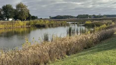 Retention Pond