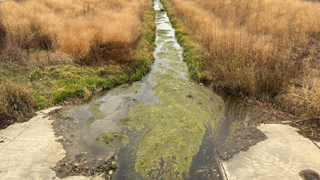 Dry Run Creek