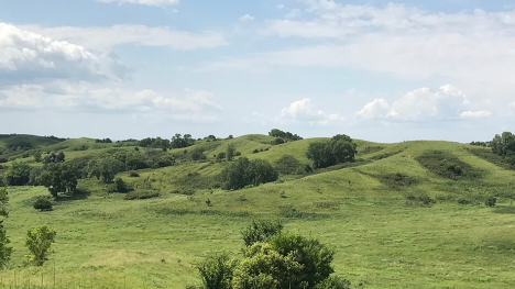 Cat Step Hills in Loess Hills