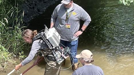 teachers in creek capturing macroinvertebrates 