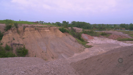 Image of rock faces in an old quarry.