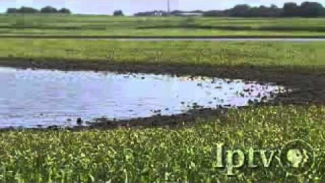 Image of flooded field.
