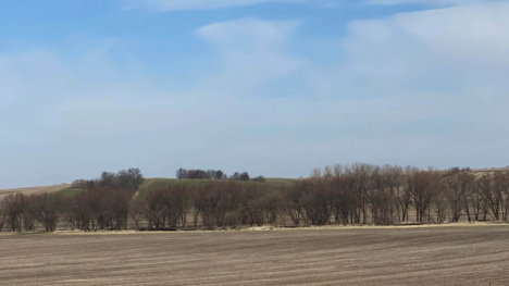 Image of paha hills in Iowa field.