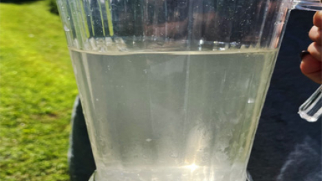 A pitcher with water that is a little murky.