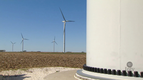Image of wind turbines in a field.