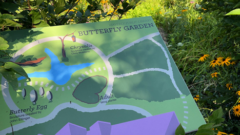 A map of the Waverly Library Butterfly Garden.
