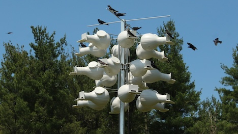Purple Martin birdhouse with multiple white gourd-shaped compartments, surrounded by flying and perched birds, against a blue sky and trees.