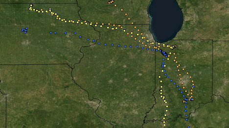 visualized migration data for Sandhill Crane