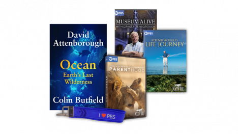 parenthood_collection