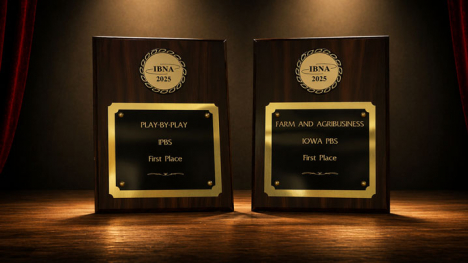 Two award plaques in the spotlight.