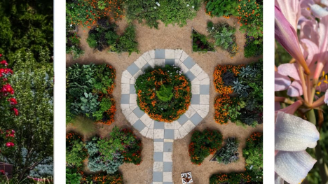Collage of 3 images featuring outdoor spaces with plants and flowers