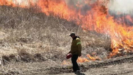 Staff with drip torches manages a prescribed prairie burn