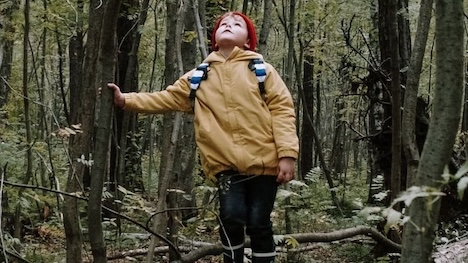 child stands on a fallen log looking at the sky in a tree-filled forest