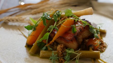 barley risotto
